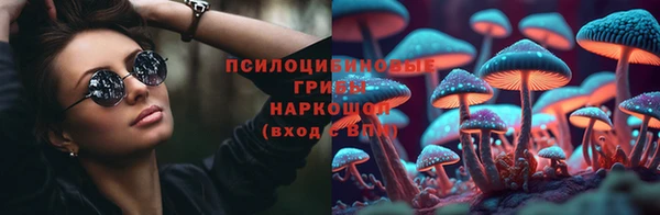 шишки Вязьма