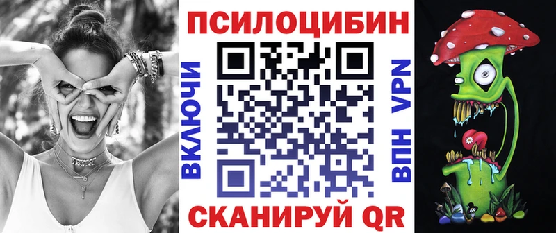 Псилоцибиновые грибы Psilocybe Купить где Похвистнево